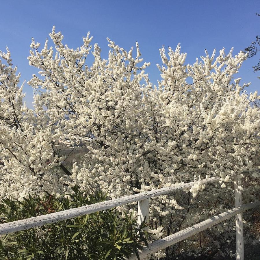Country house Relais Il Pigno Affi